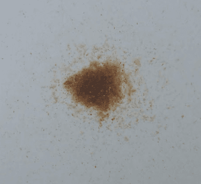 1604319537735.png