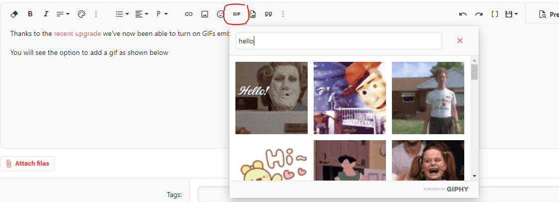 Screenshot of the GIF option