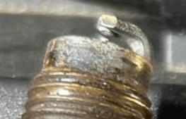 1708513130017.png