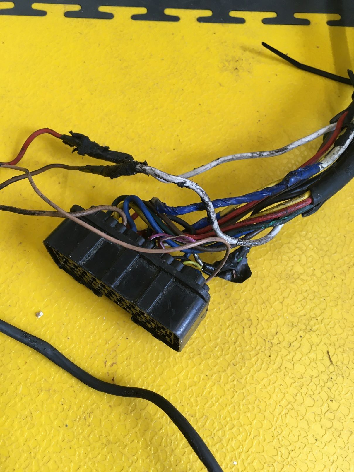 200416 IMG_0685s.jpg