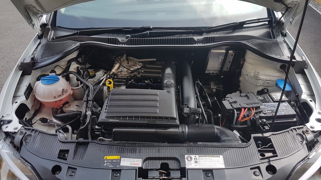 20180601_150543 (1024x576).jpg