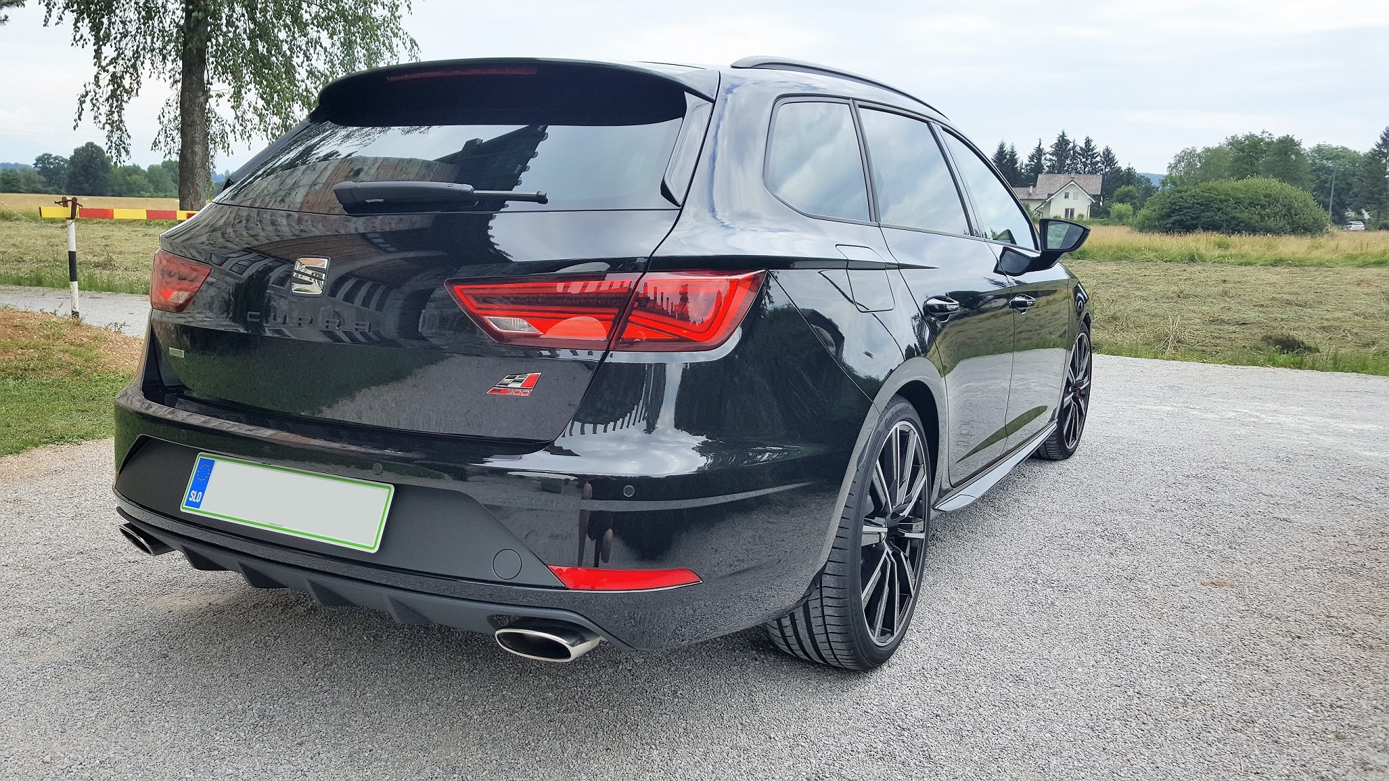 20180617_125219.jpg