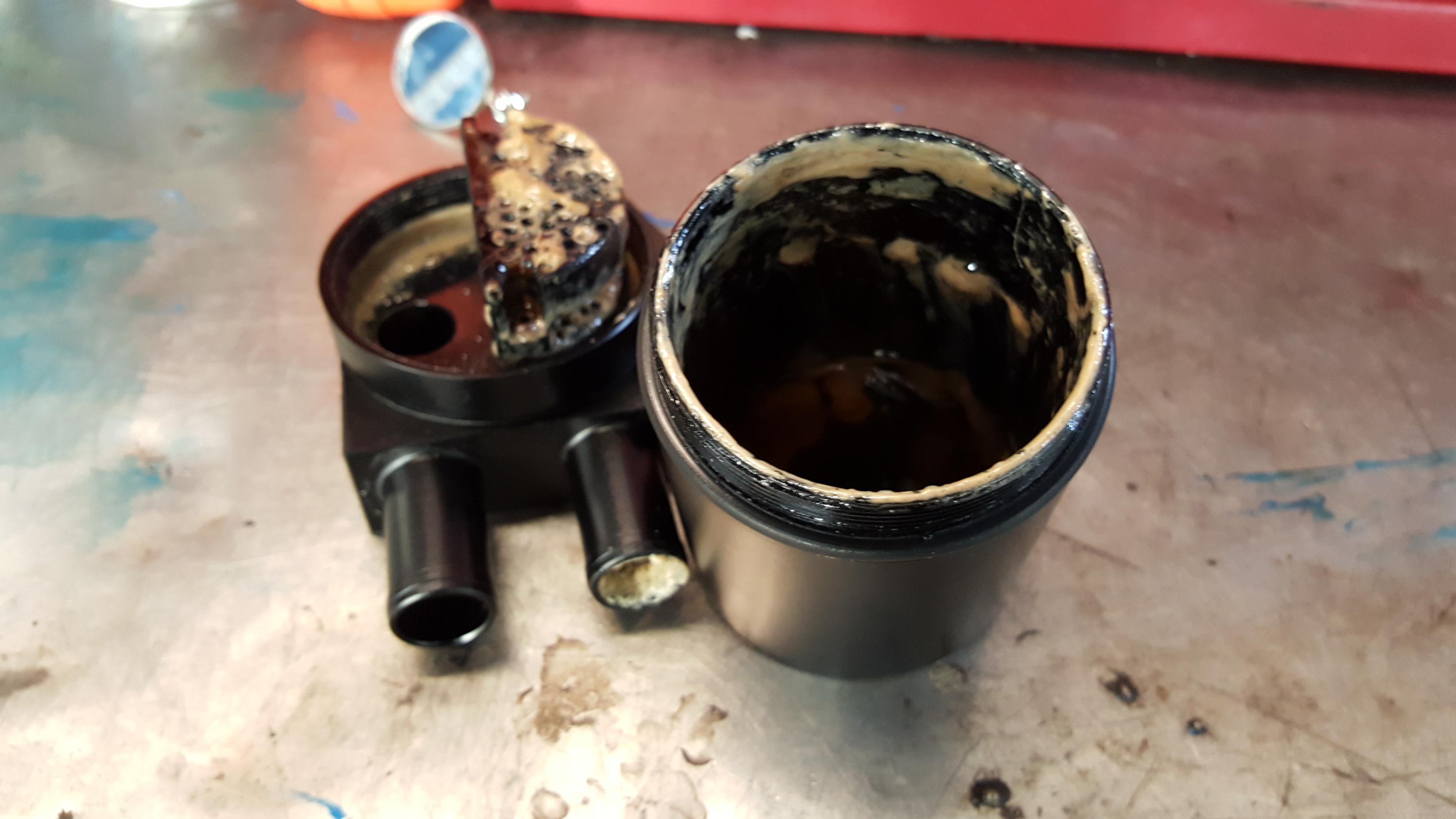 20190207_145939.jpg
