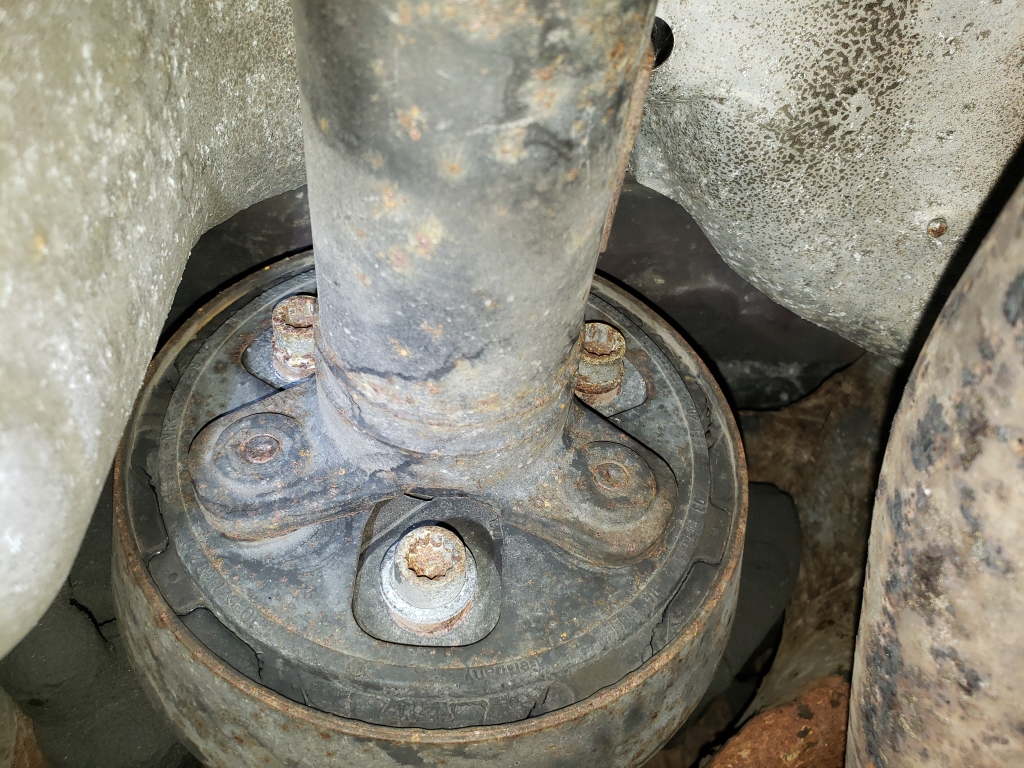 20190727_183812.jpg