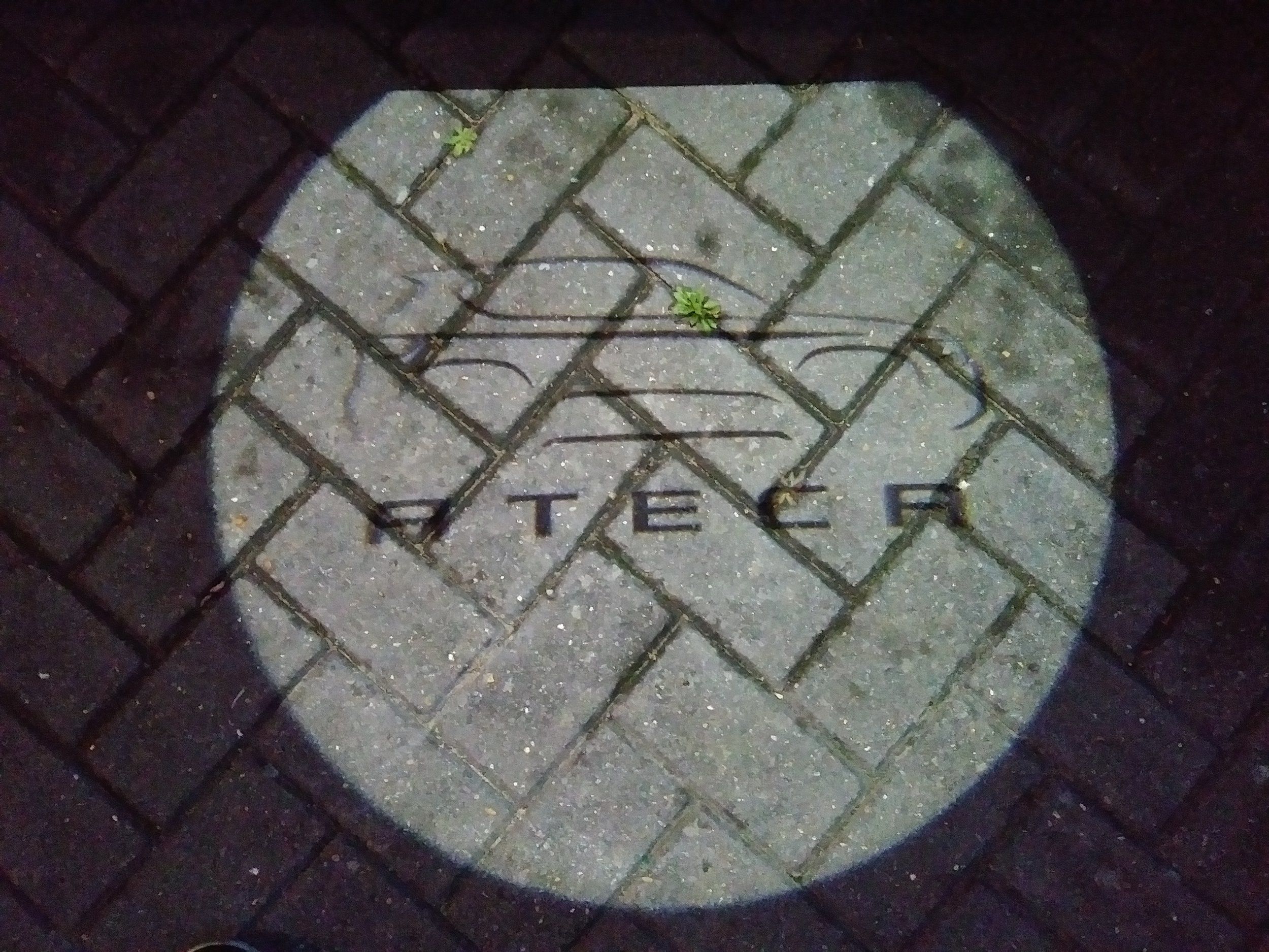 20200730_212529_HDR.jpg