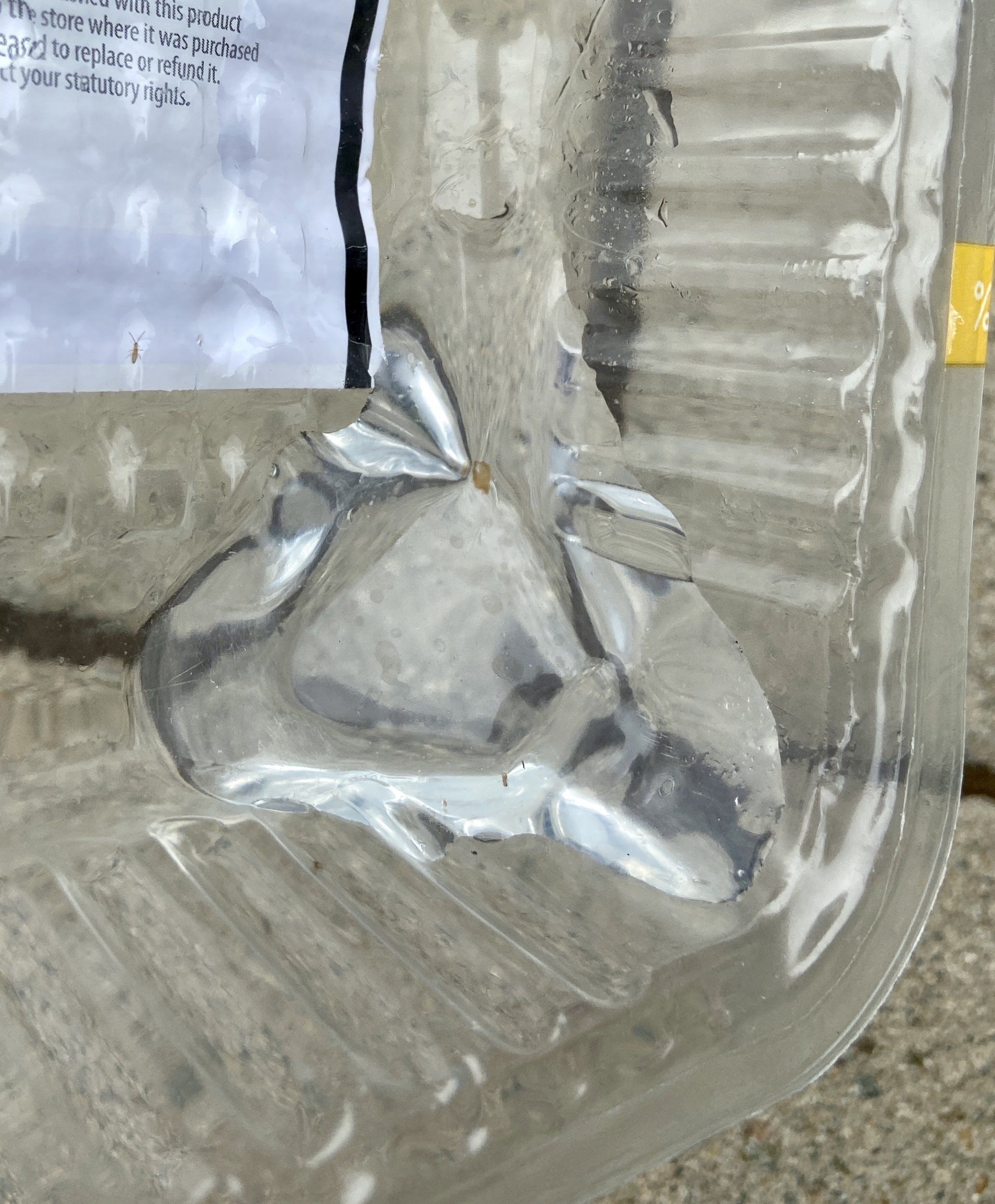 2018 Cupra 300 ST Clear water dripping under car