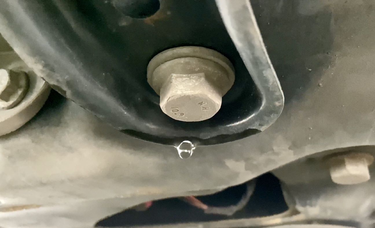 2018 Cupra 300 ST Clear water dripping under car