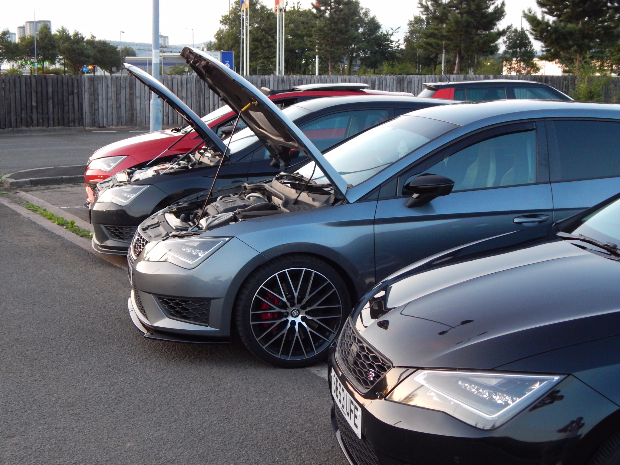 Seatcupra net forum