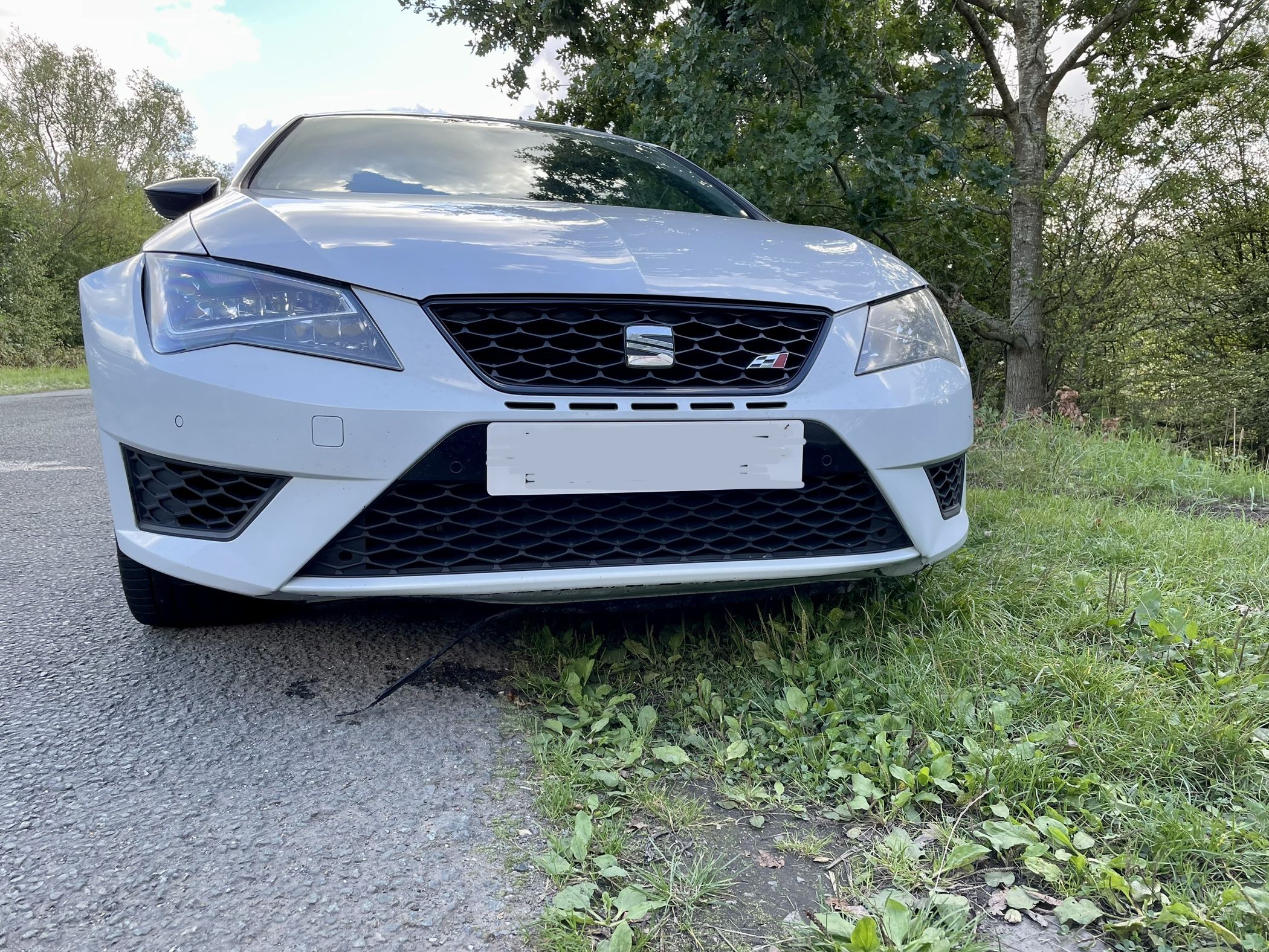 Sad Story And Word Of Caution SEATCUPRA NET