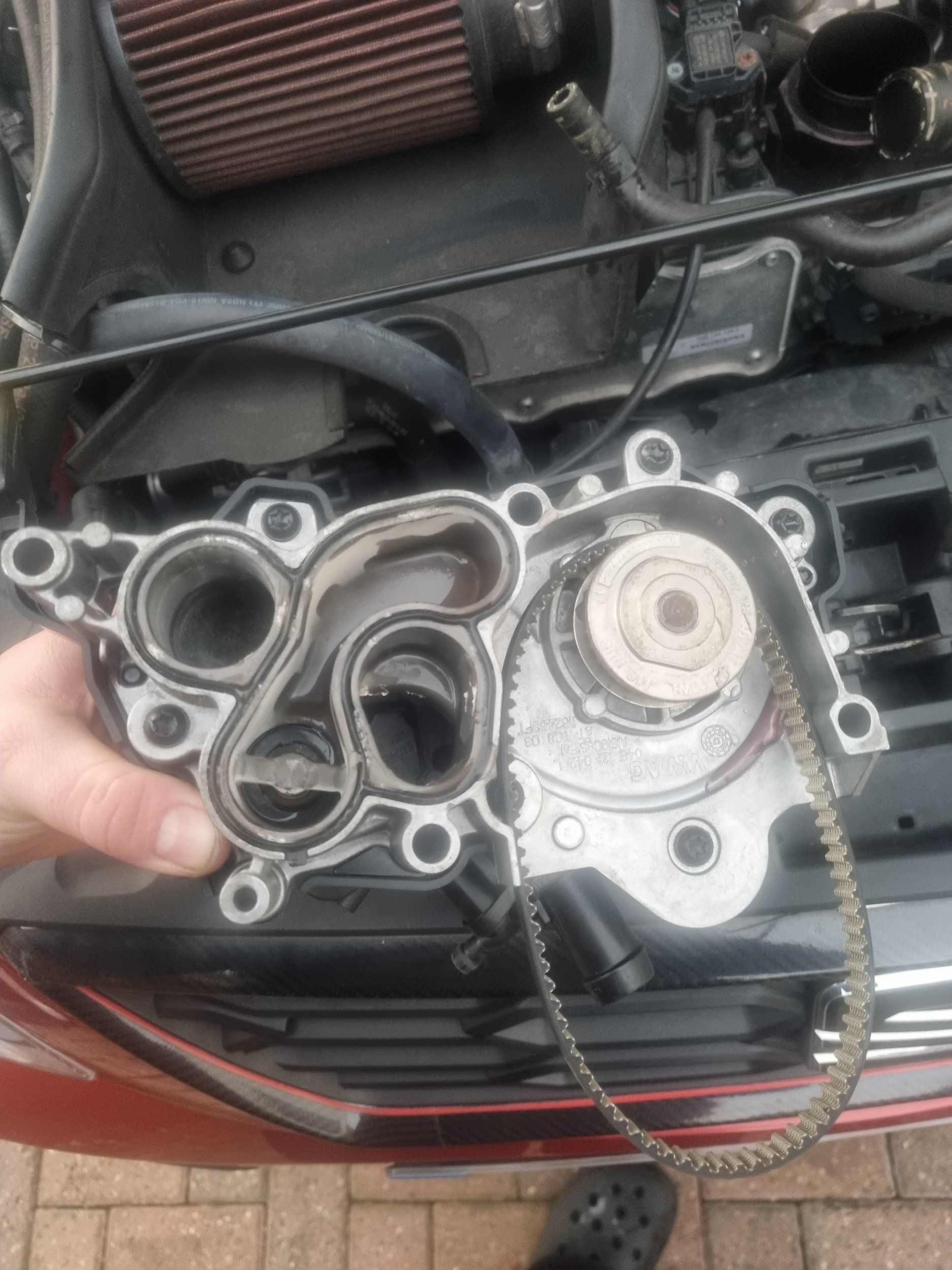 beltfitted.jpg