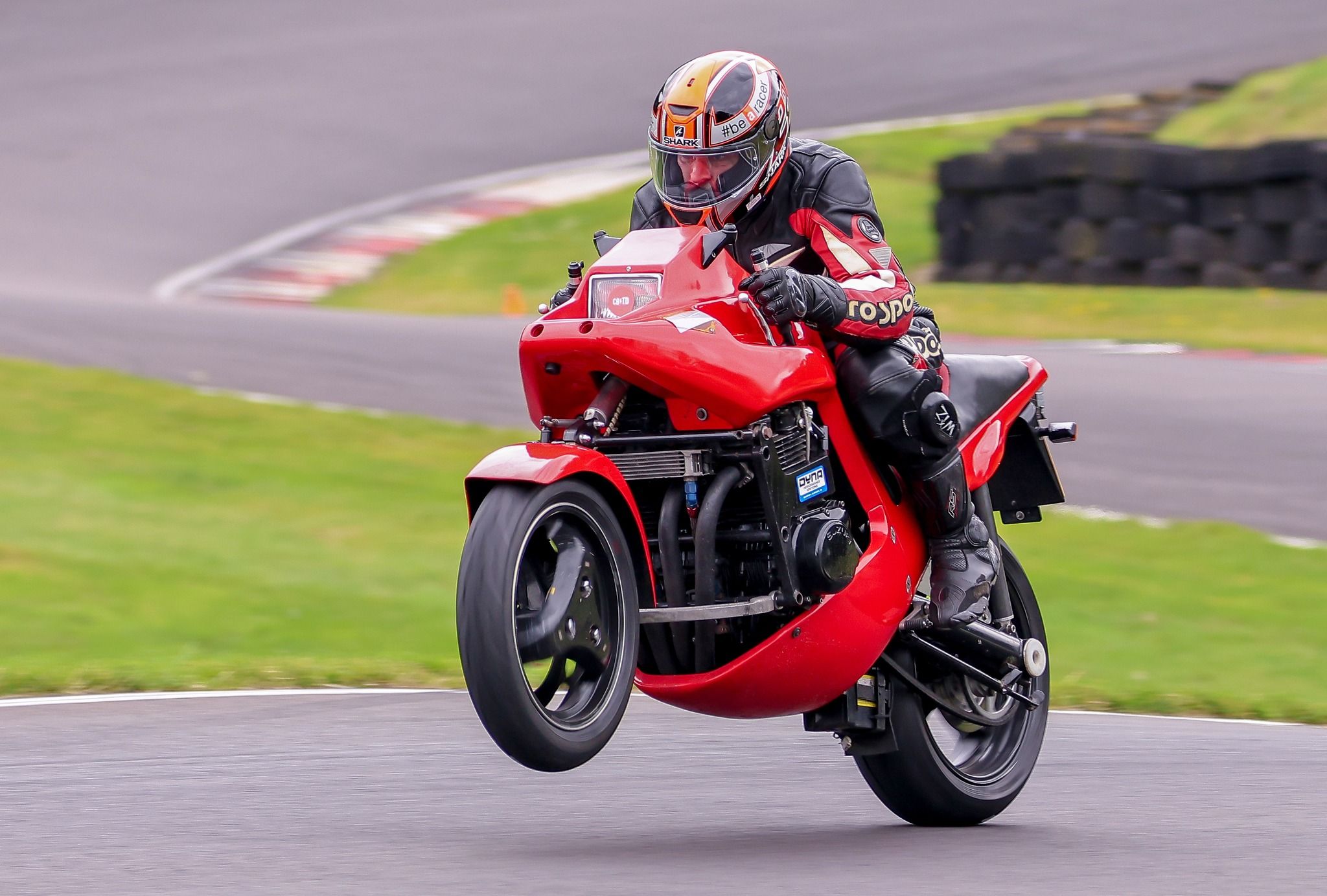 bike1.jpg