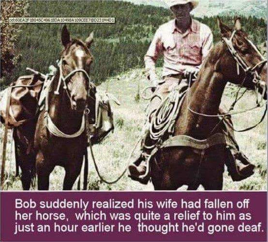 bob.jpg