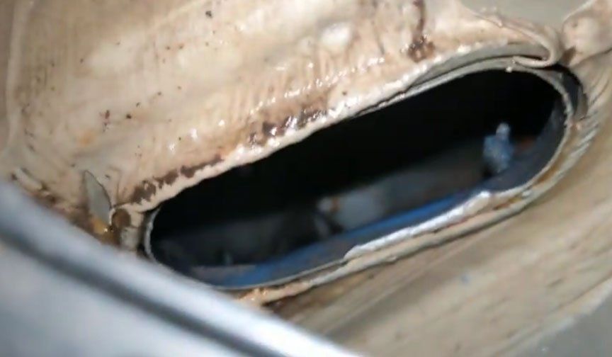 bottom of drain hole - Copy.jpg