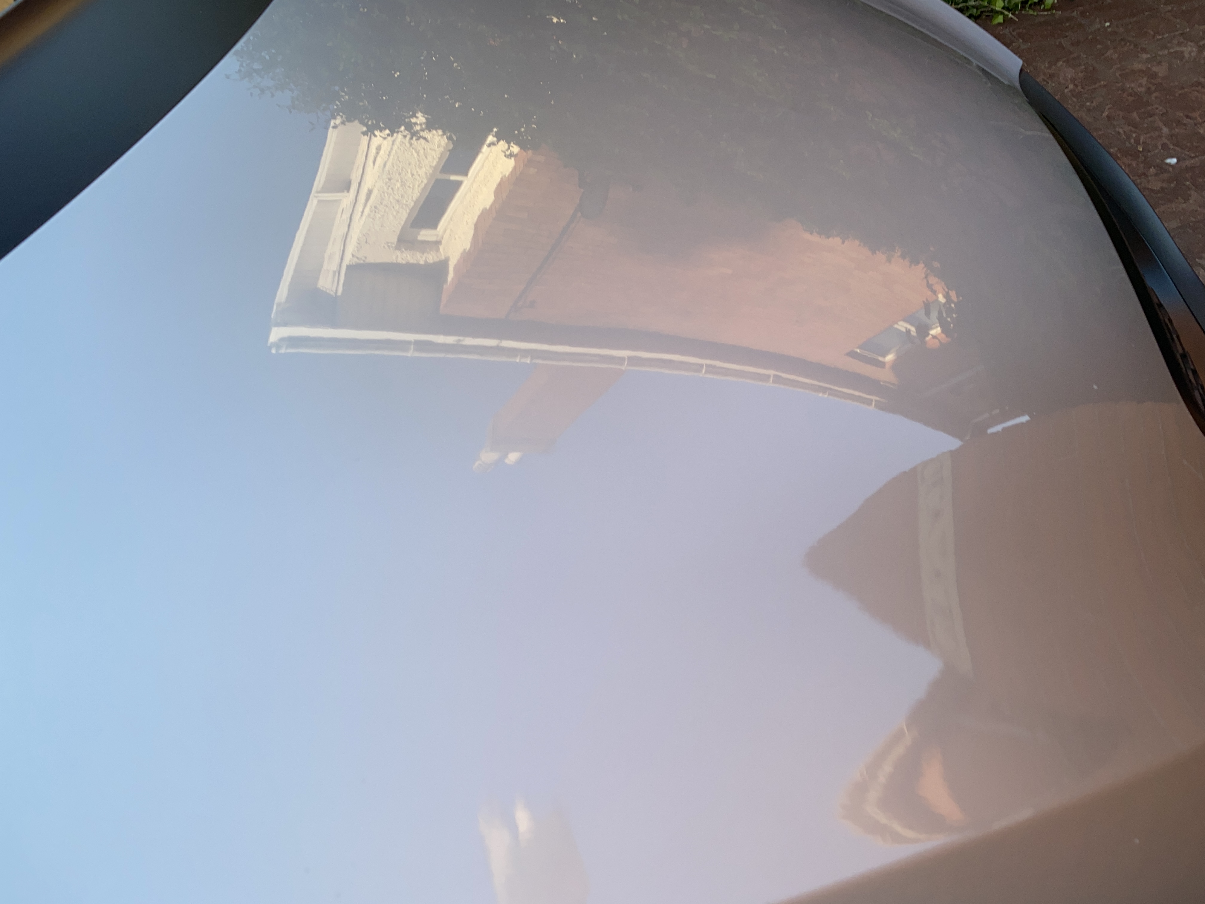 CEB7F31A-2991-4119-944D-87CCB134BB86.jpeg