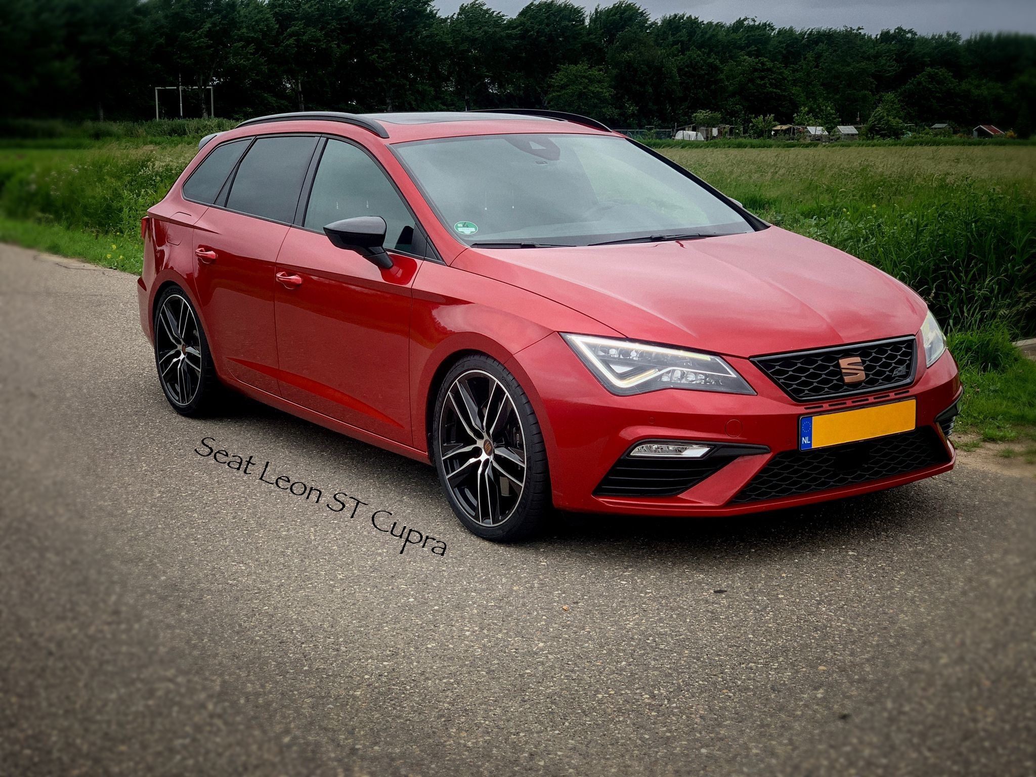 cupra-03-jpg.32025