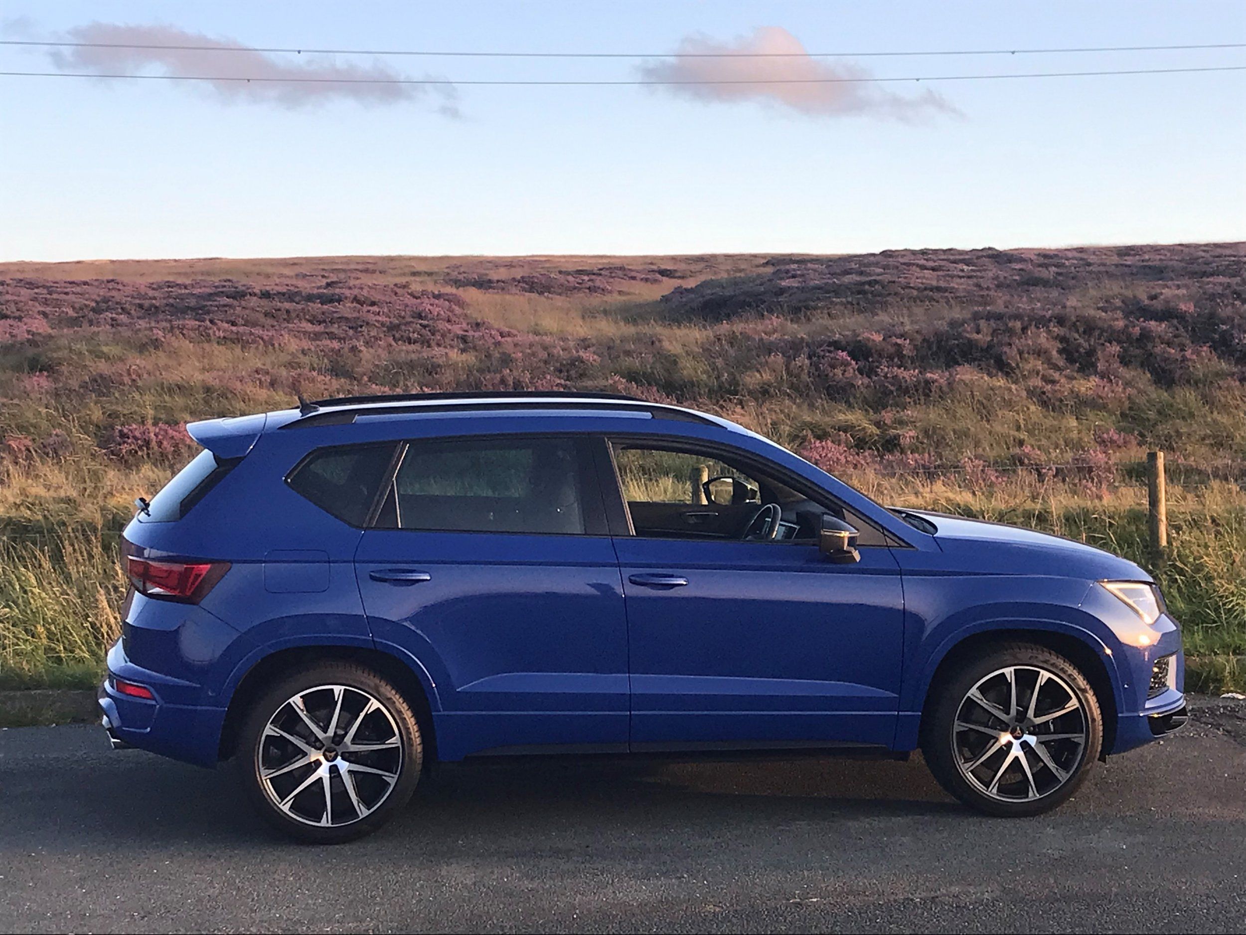 Cupra 26.jpg