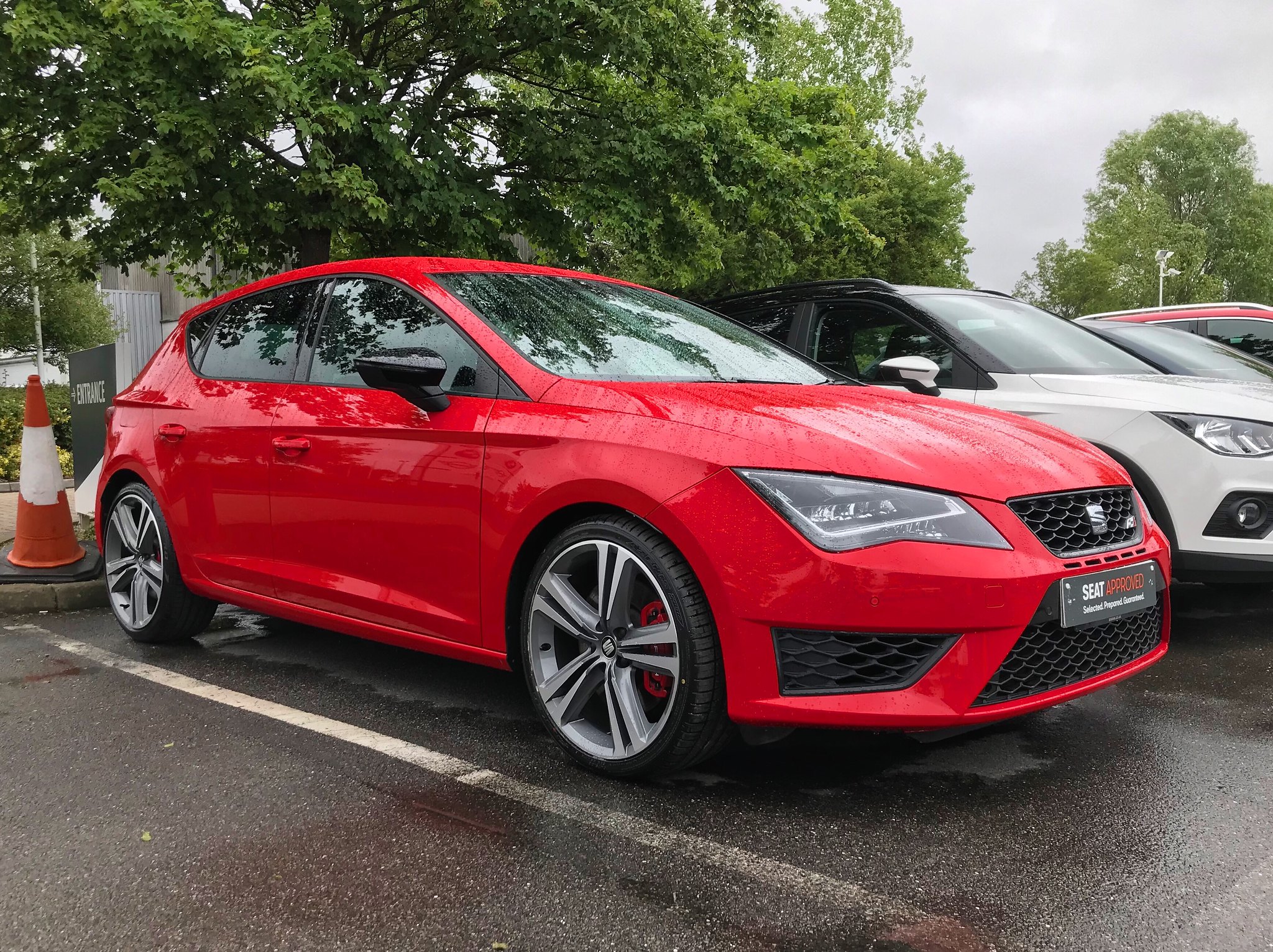 Cupra 290.jpg