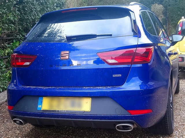 Cupra Rear b.JPG