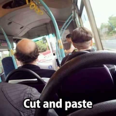 cut.jpg