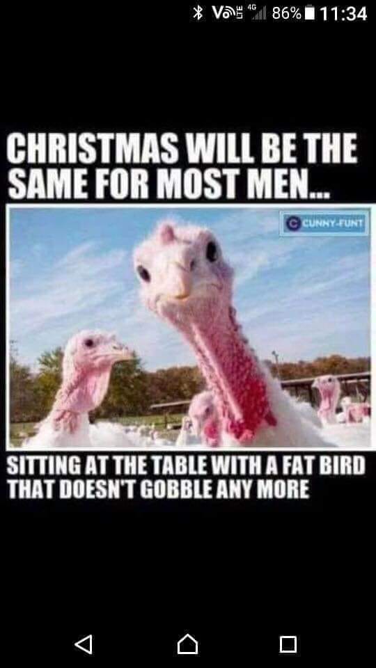 fatbird.jpg