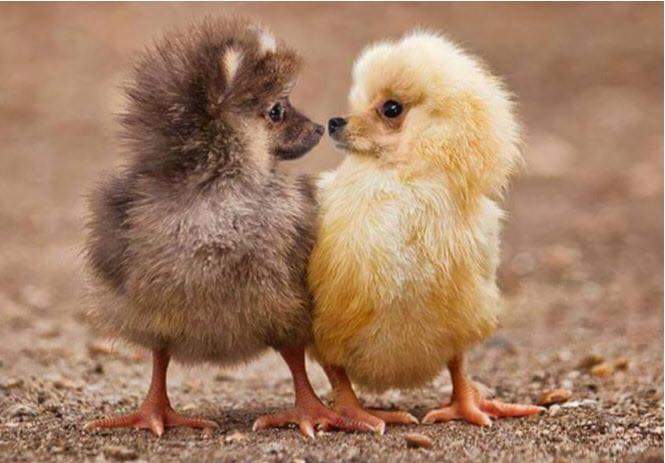FB_IMG_1552381204146.jpg