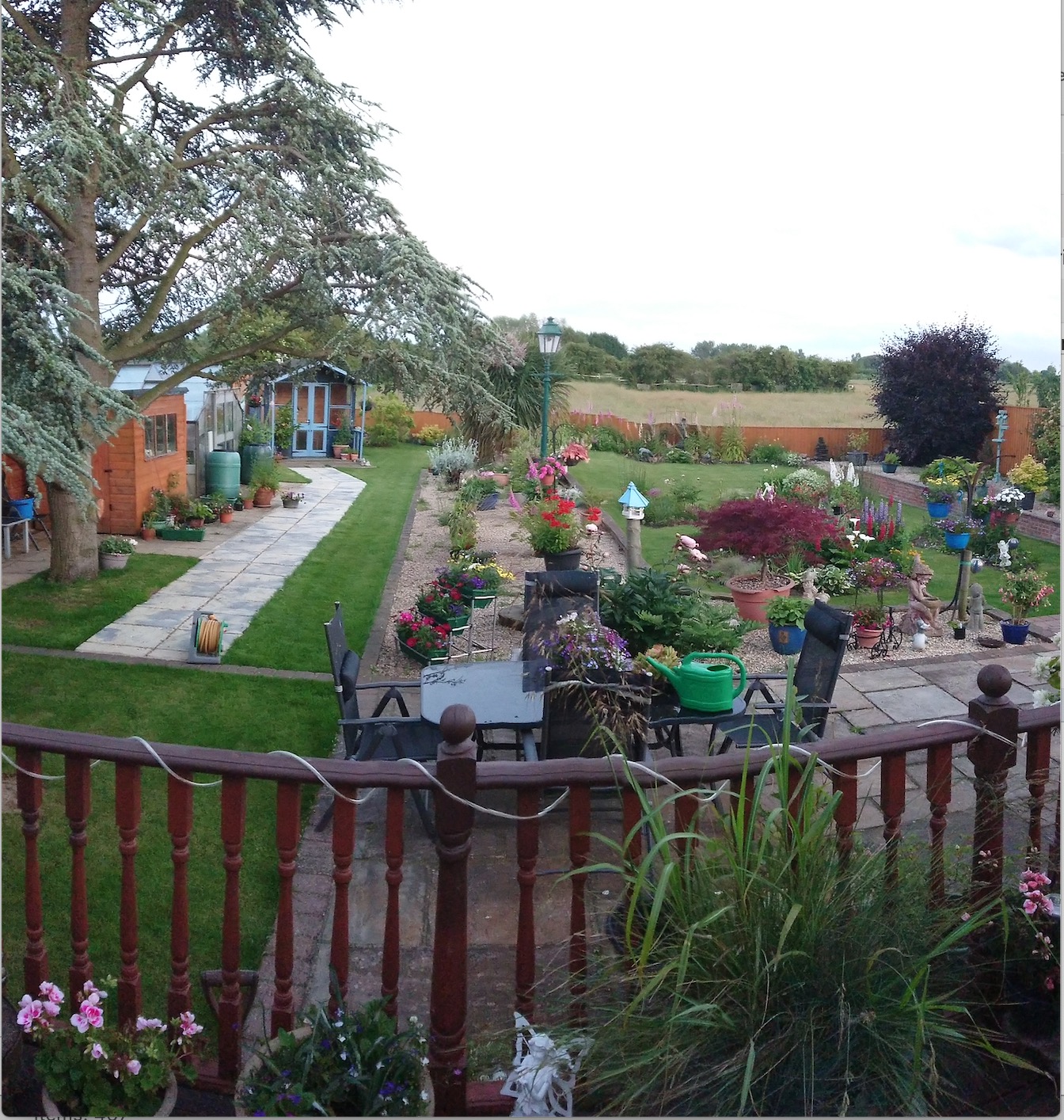 garden.jpg