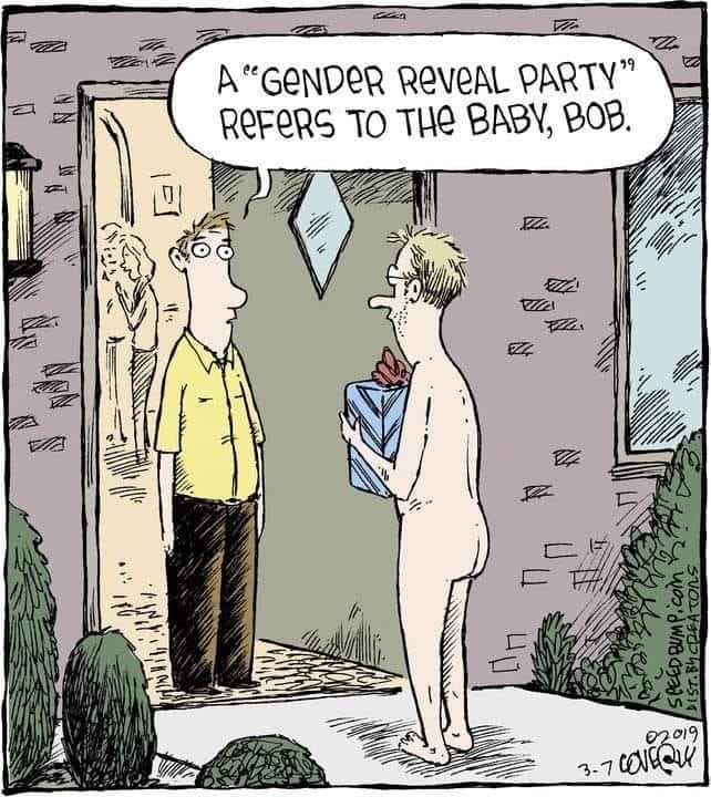 gender1.jpg