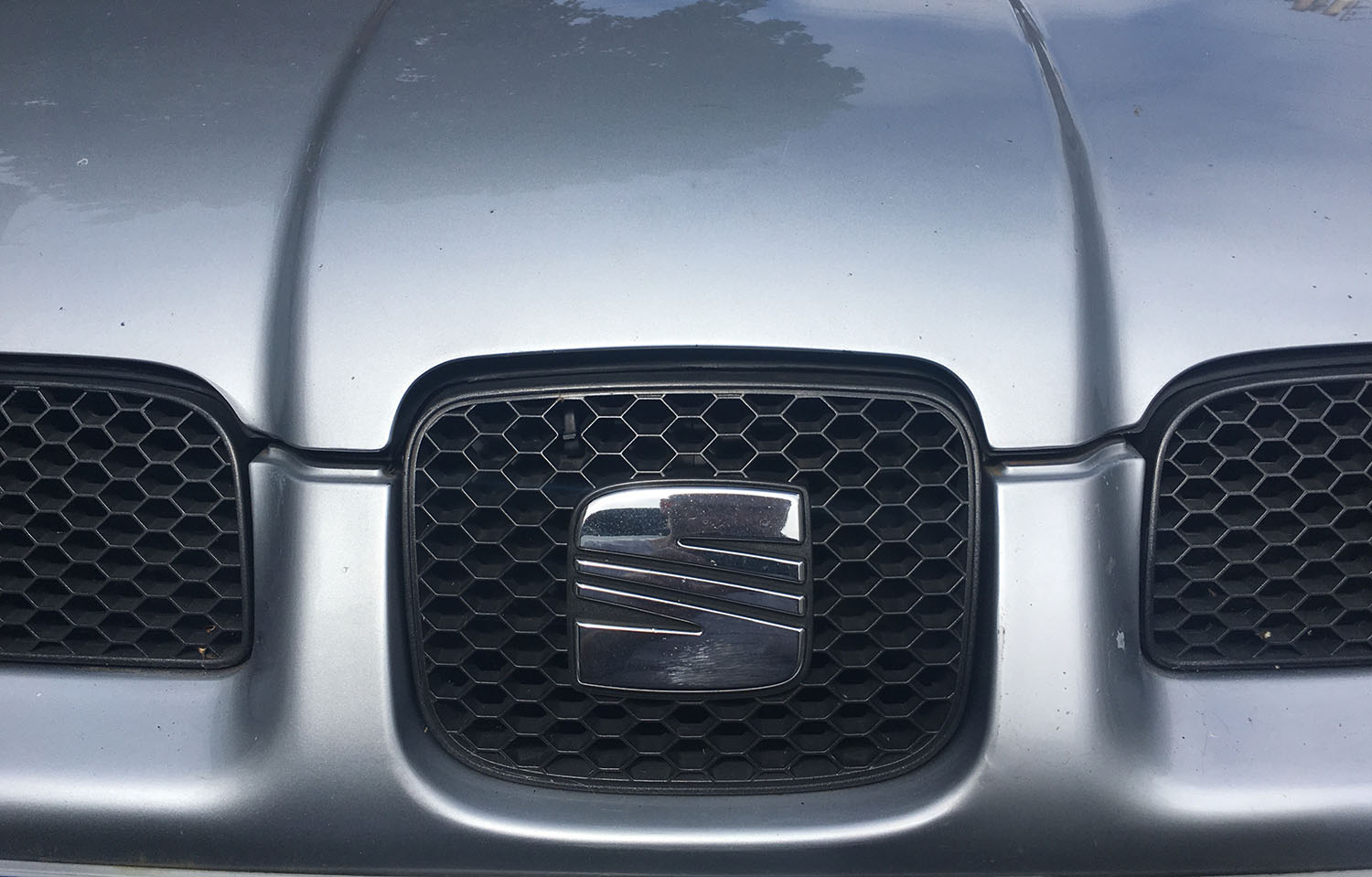 Leon_Bumper_Gap.JPG