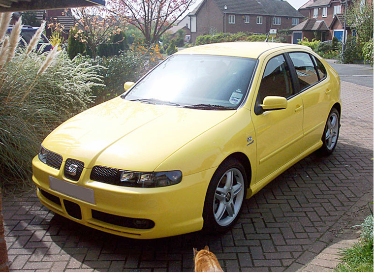 LeonCupra.png
