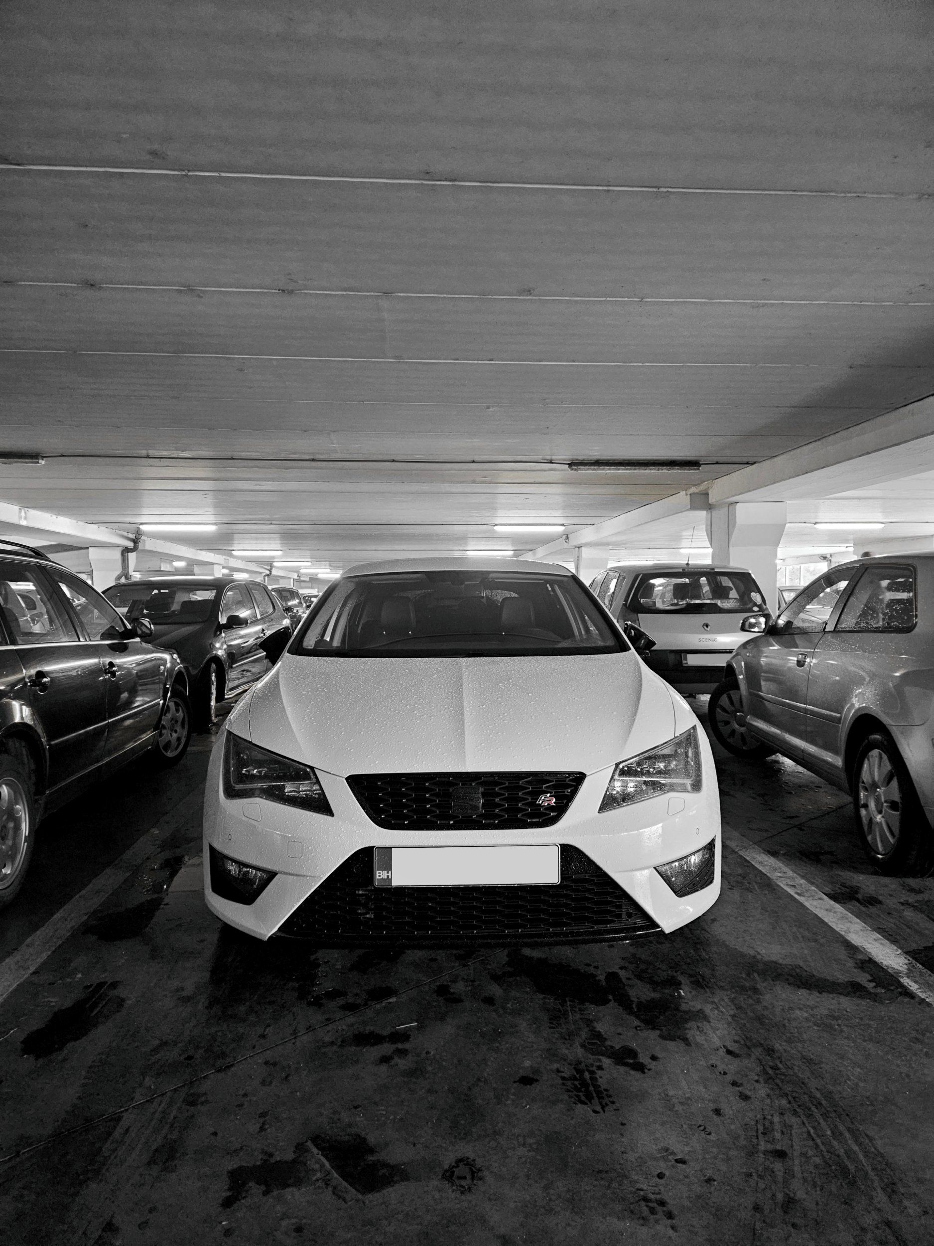 LeonFR_BW.jpeg