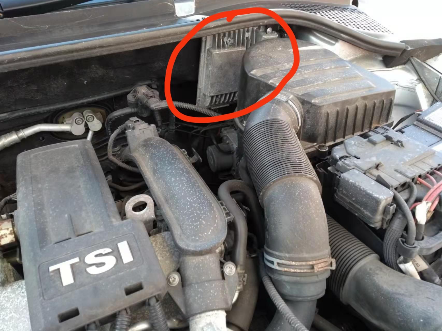 mmexport1651083857995.jpg