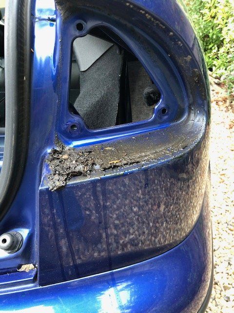 muddy rear light.jpg