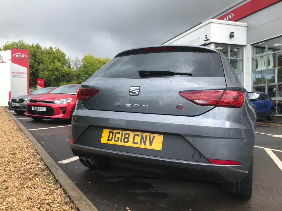 my new leon 2.jpg