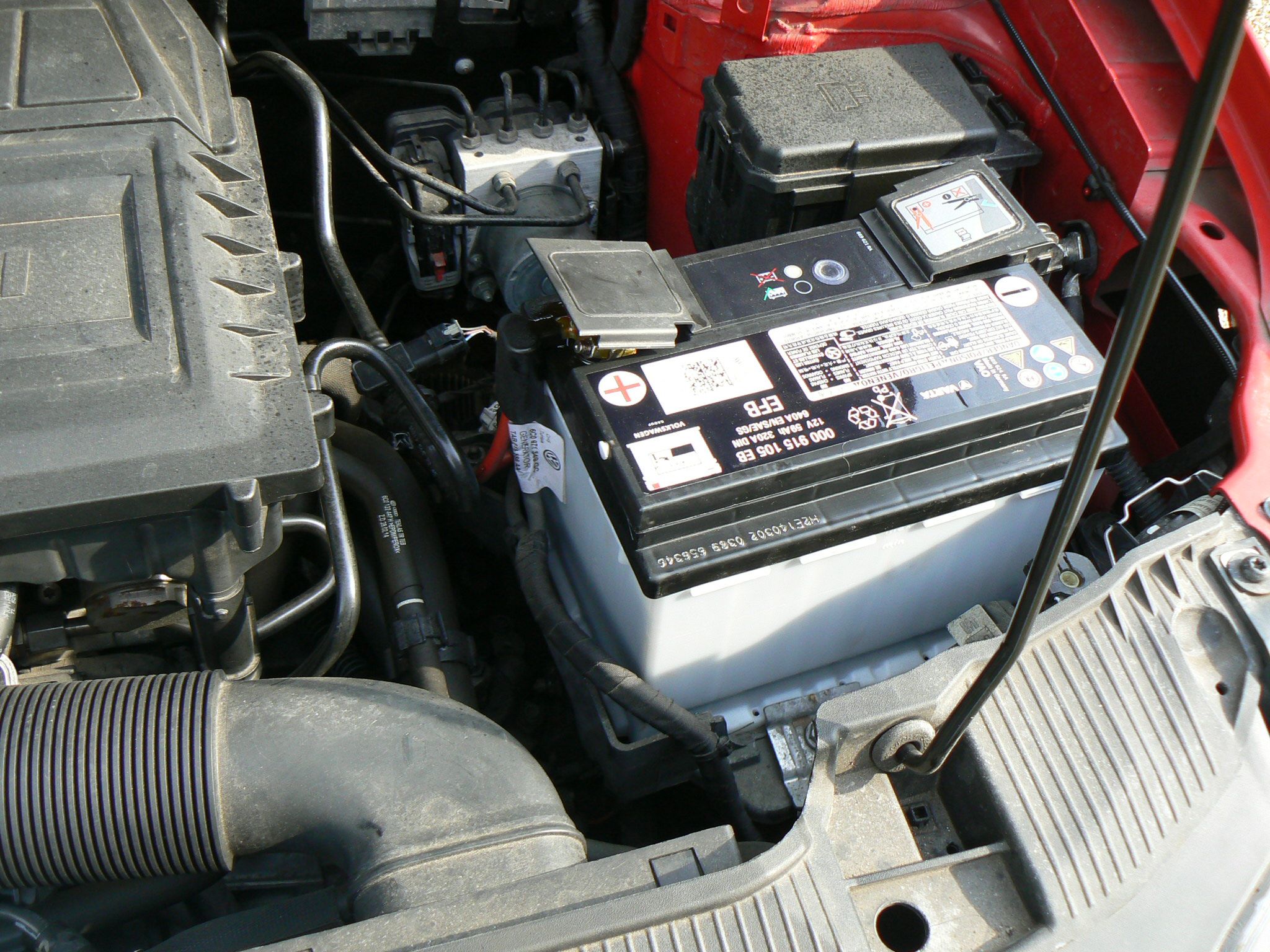 P1100263.JPG