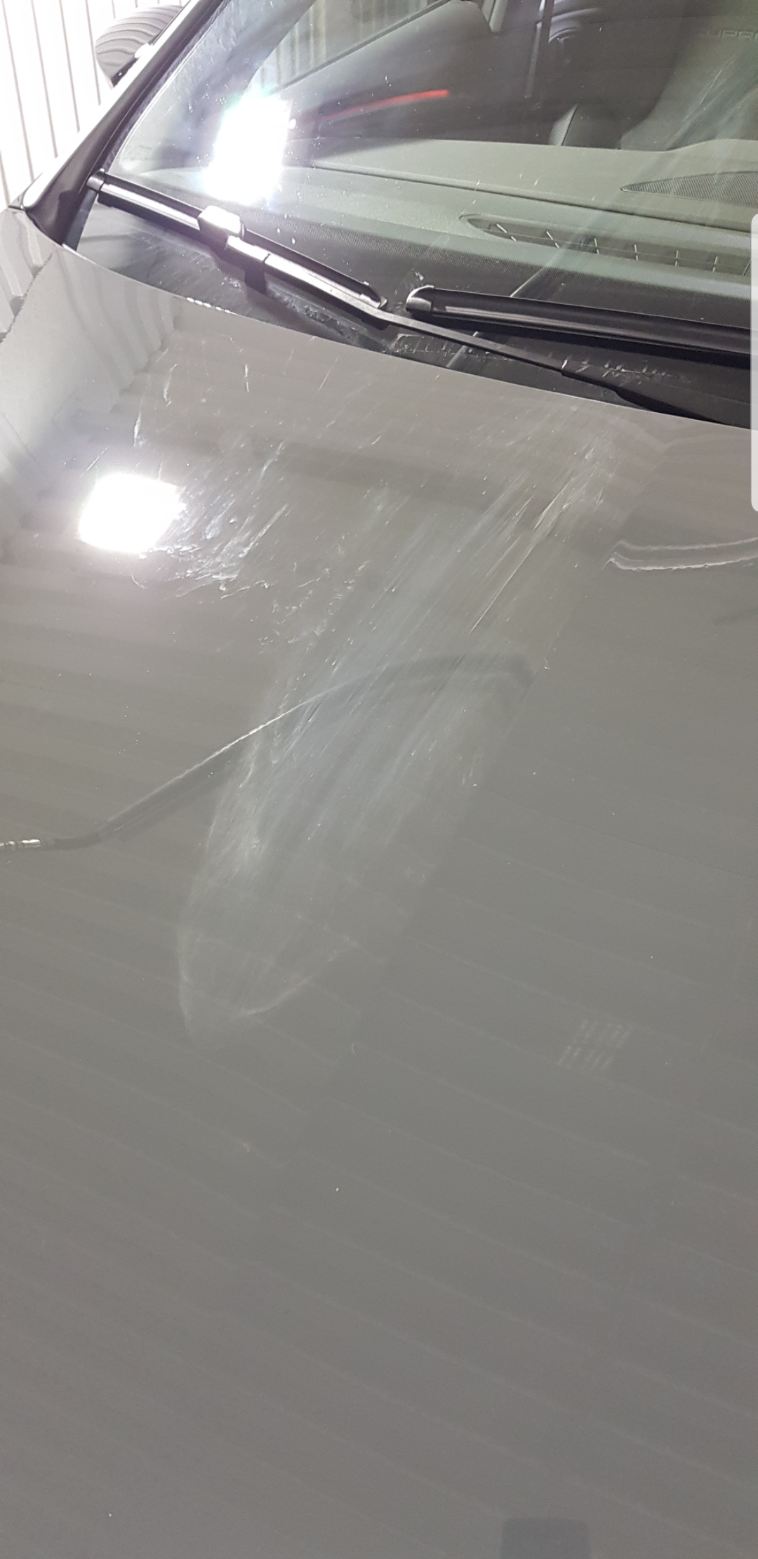 Screenshot_20190715-082454_Gallery.jpg