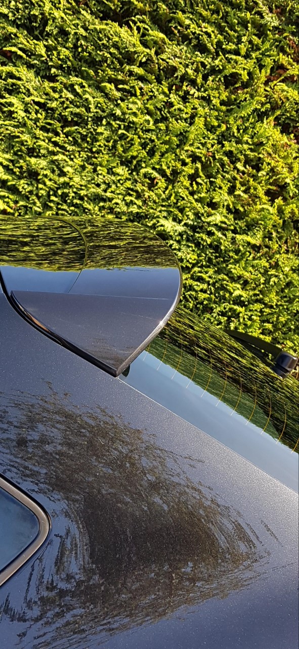 thumbnail_20191027_132732.jpg
