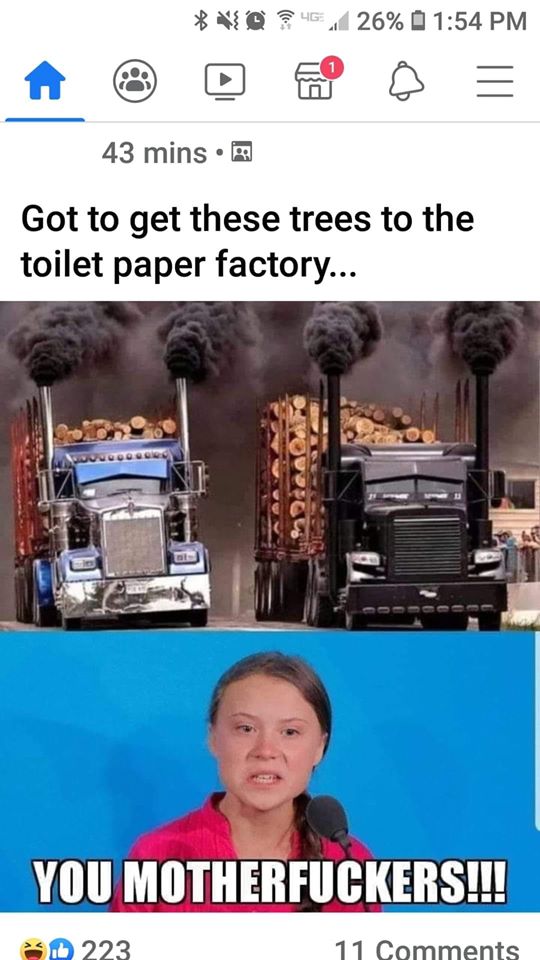 toiletpaper.jpg
