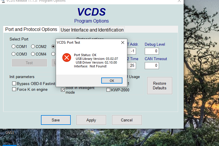 vcds2.PNG