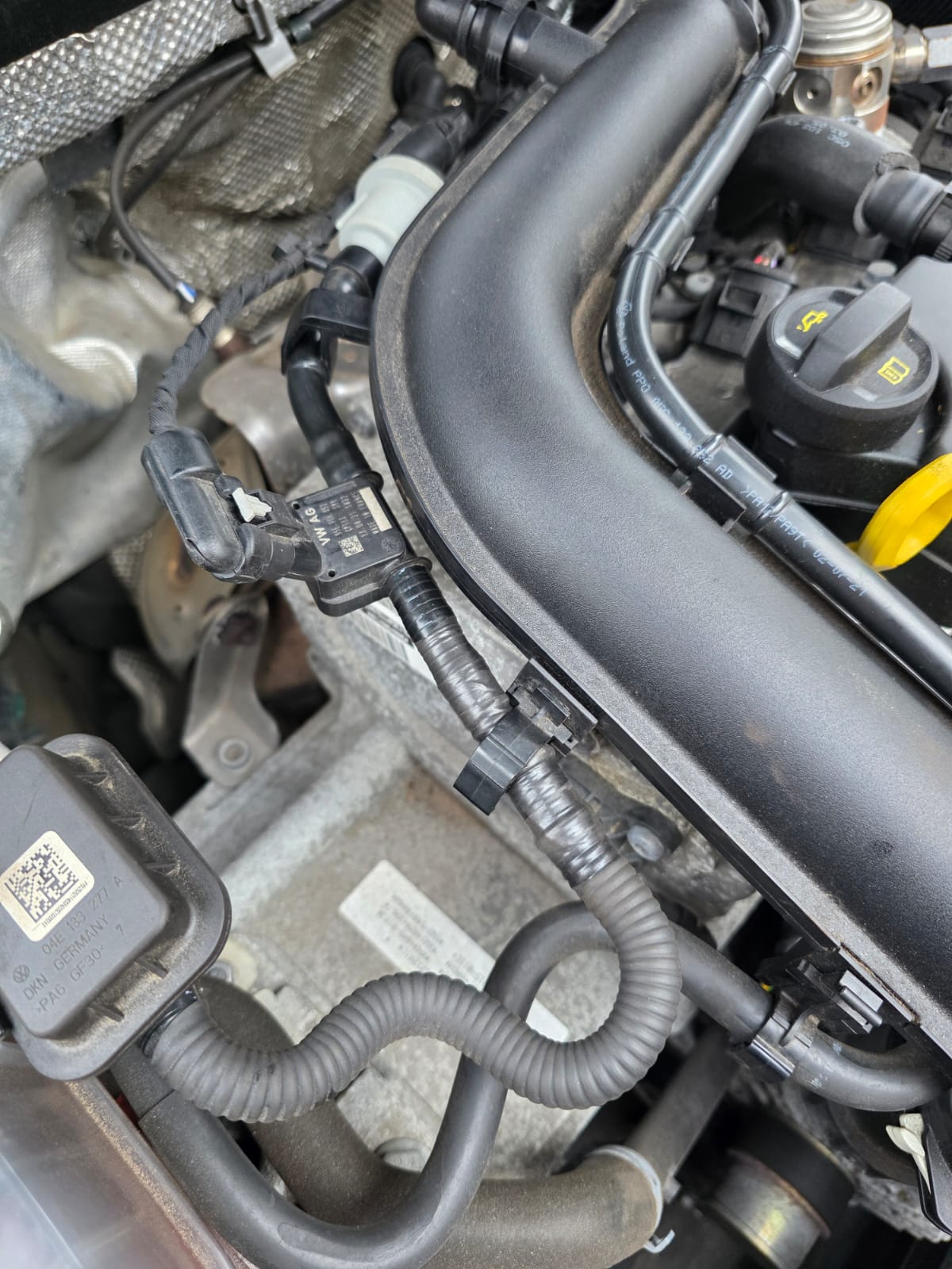 WhatsApp Image 2025-10-17 at 11.05.52_8c677598.jpg