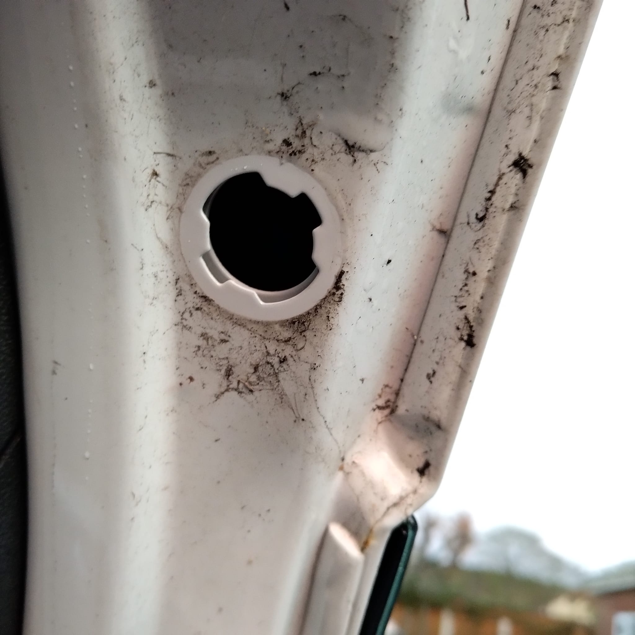 WhatsApp Image 2025-11-25 at 16.35.06.jpeg