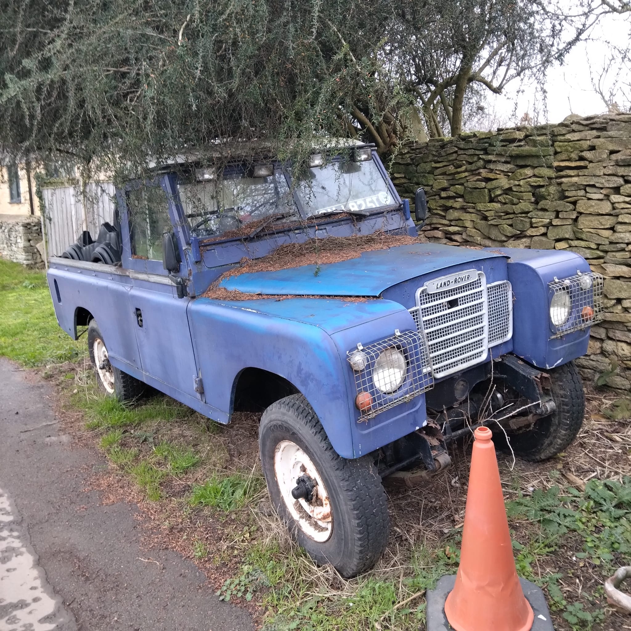 WhatsApp Image 2025-12-29 at 14.23.57.jpeg