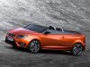 Seat-Ibiza_Cupster_Concept_2014.jpg