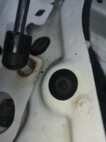 IMG_20200523_122529.jpg