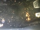 IMG_2398.jpeg