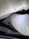 IMG_6369.jpeg