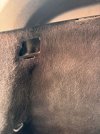 IMG_3478.jpeg
