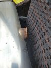 20250816_133742.jpg