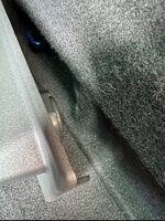 IMG_8192.jpeg