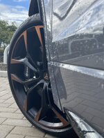IMG_8179.jpeg
