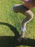 IMG_20260501_171703.jpg